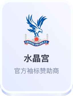 水晶宫足球俱乐部官方袖标赞助商